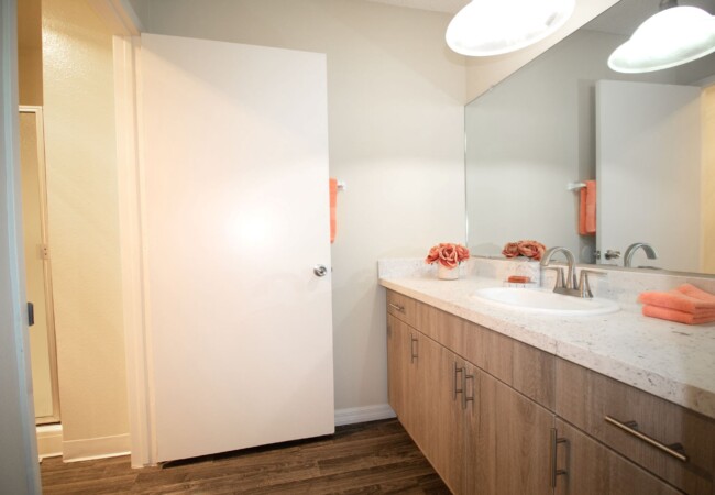 primary bathroom