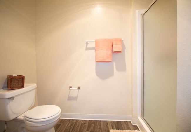 Primary bathroom